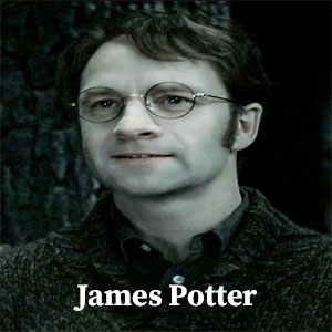 Harry Potter Supporting Characters Draft - News From The Couch